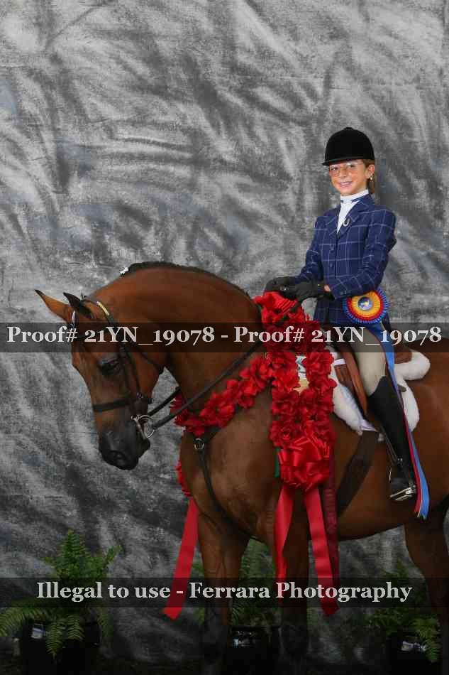 Proof 21YN_19078