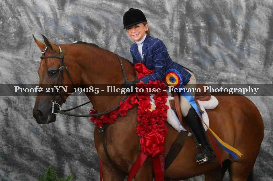 Proof 21YN_19085
