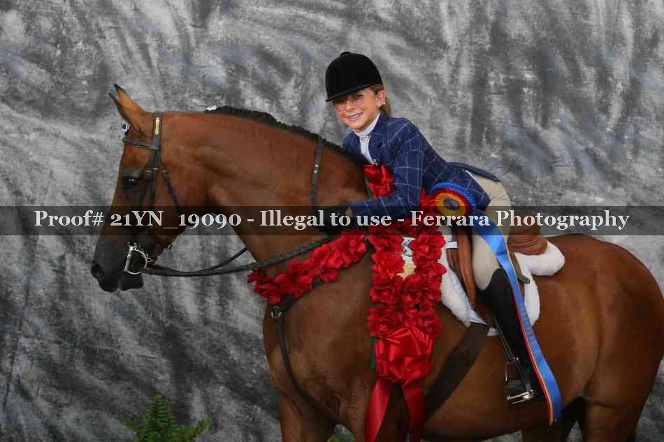 Proof 21YN_19090