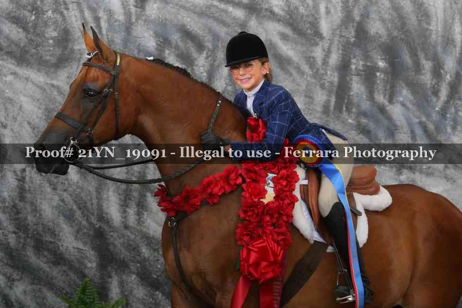Proof 21YN_19091