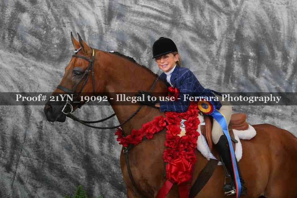 Proof 21YN_19092