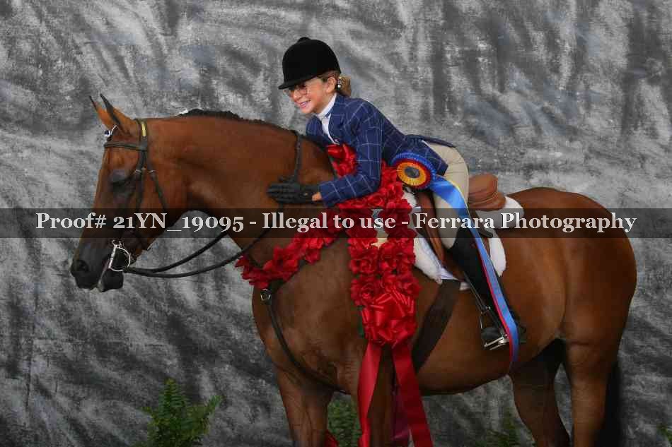 Proof 21YN_19095