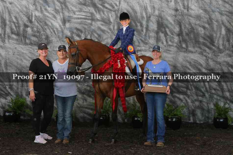 Proof 21YN_19097