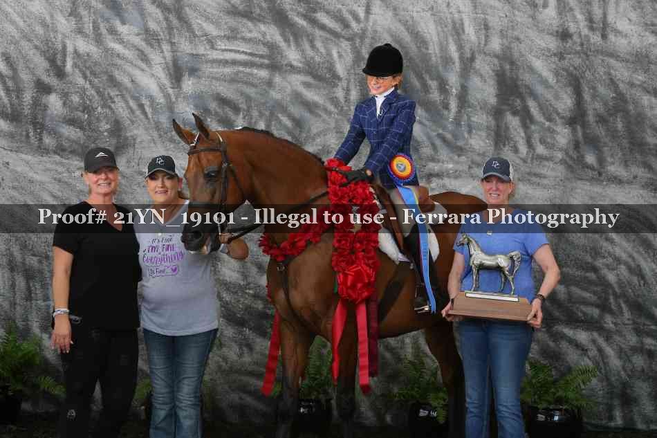 Proof 21YN_19101