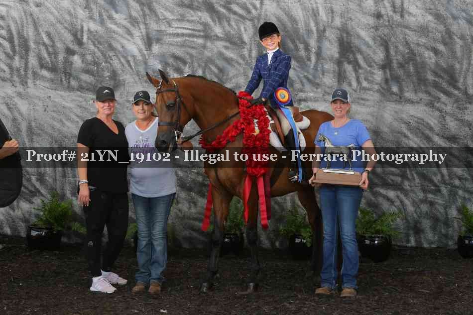 Proof 21YN_19102