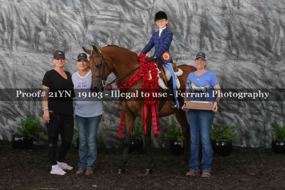Proof 21YN_19103