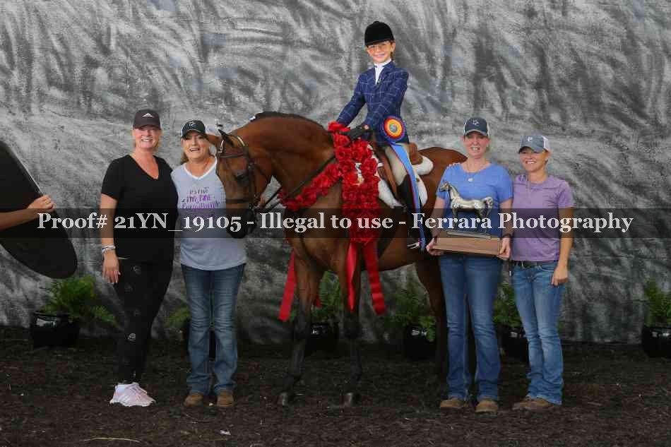 Proof 21YN_19105