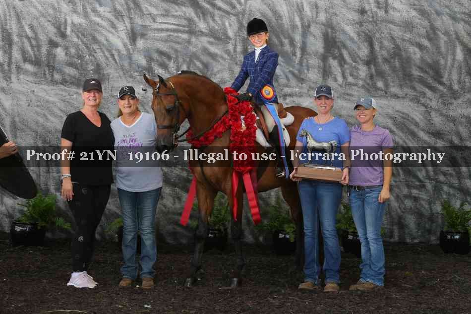Proof 21YN_19106
