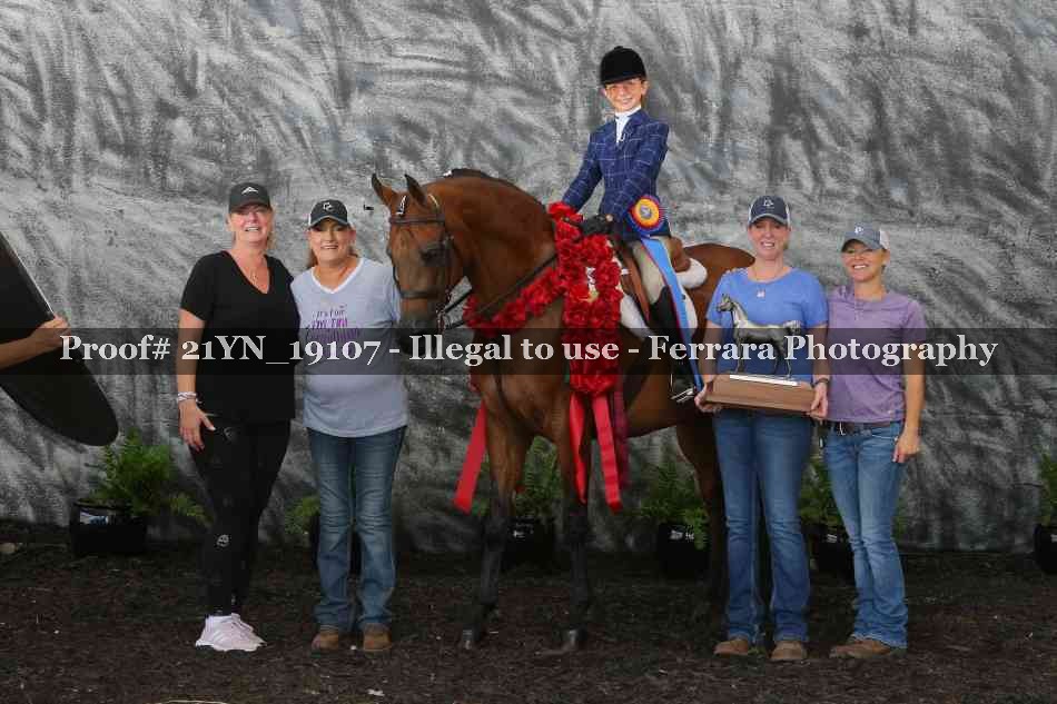 Proof 21YN_19107