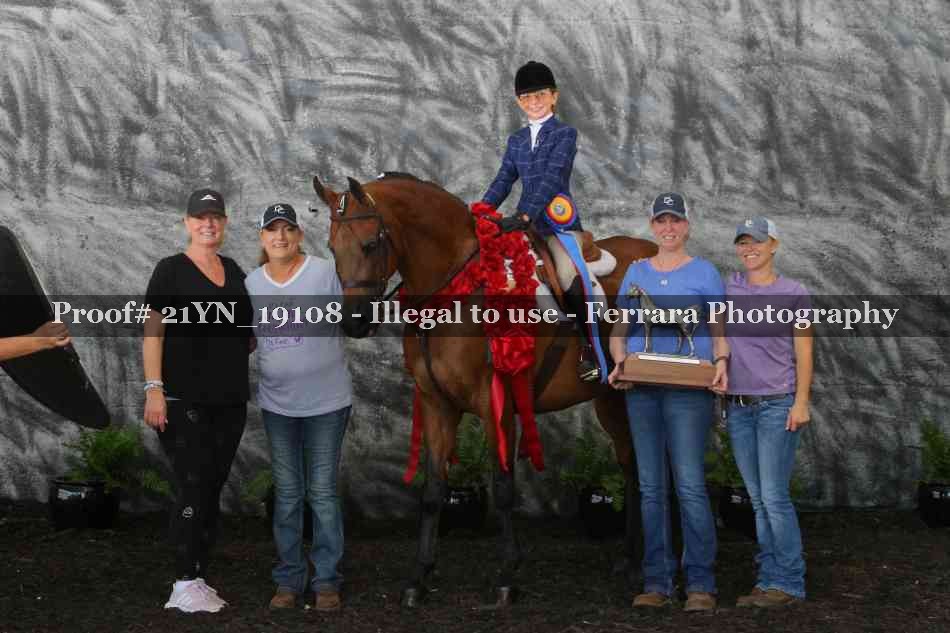 Proof 21YN_19108
