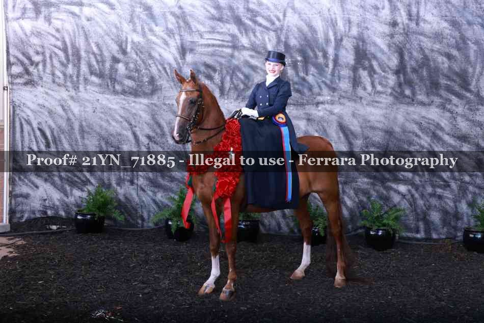 Proof 21YN_71885