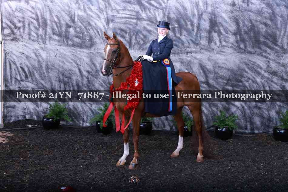 Proof 21YN_71887