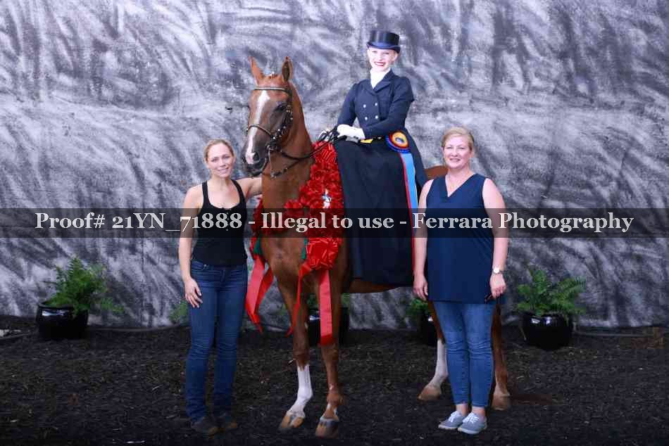 Proof 21YN_71888