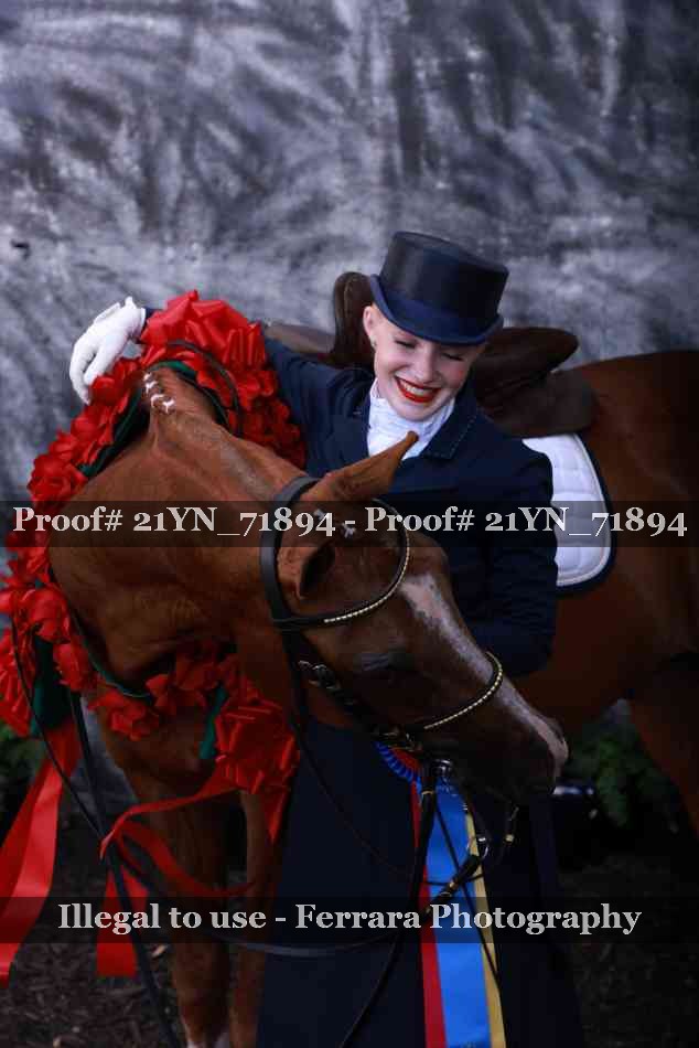 Proof 21YN_71894