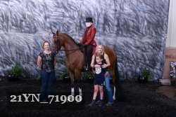 21YN_71900 proof