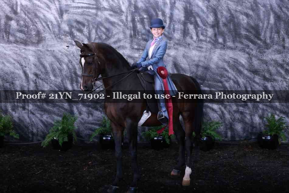 Proof 21YN_71902