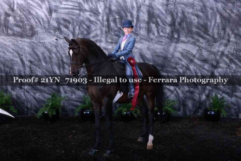 Proof 21YN_71903