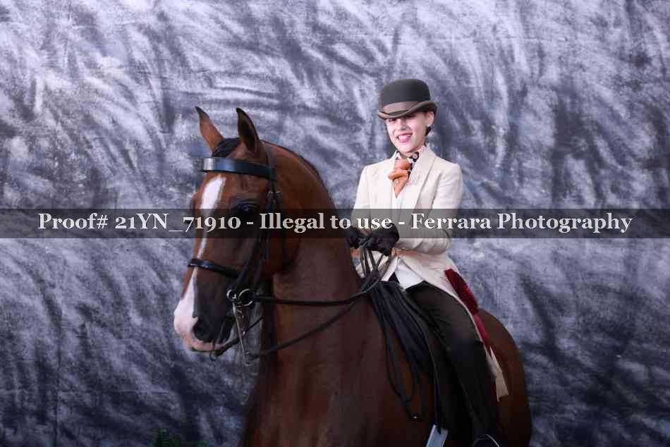 Proof 21YN_71910