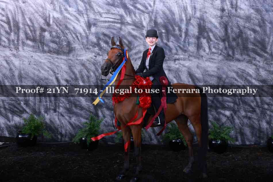 Proof 21YN_71914