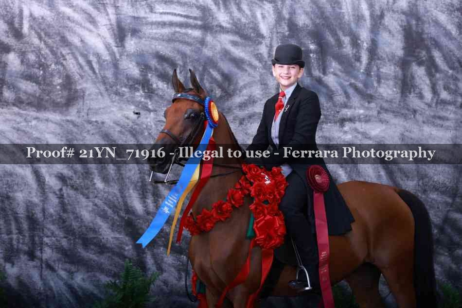 Proof 21YN_71916