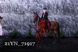 21YN_71917 proof