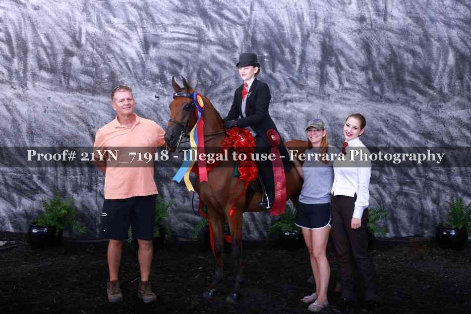 Proof 21YN_71918