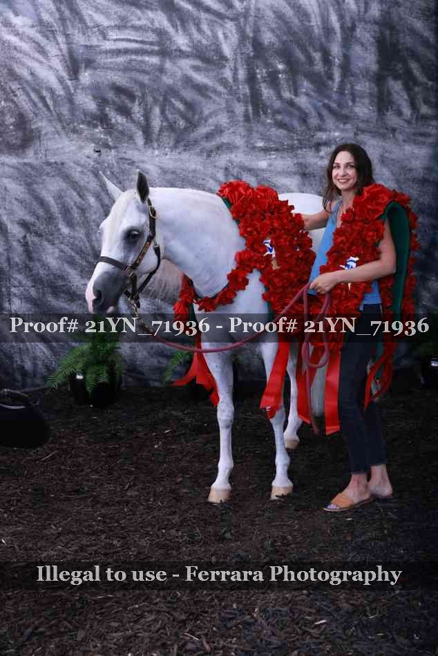 Proof 21YN_71936
