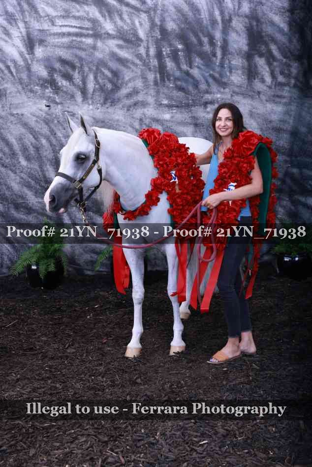 Proof 21YN_71938