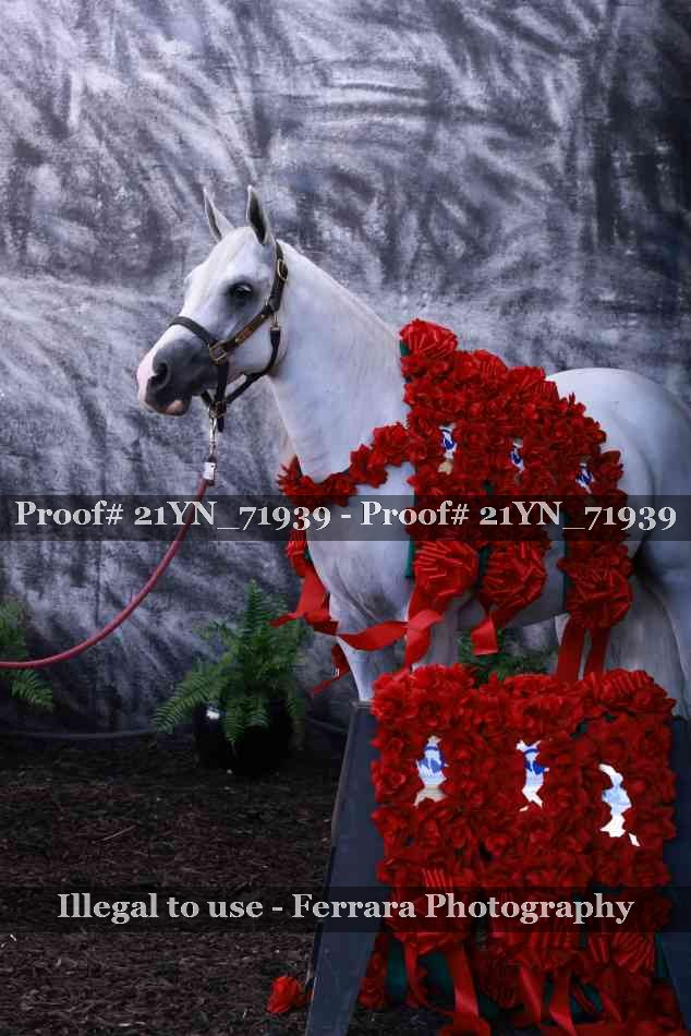 Proof 21YN_71939