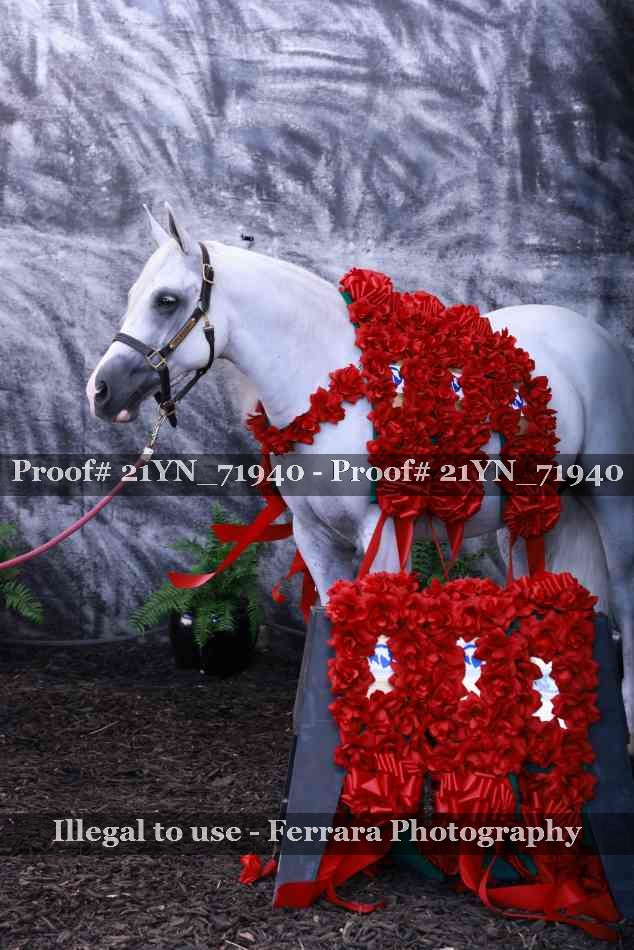 Proof 21YN_71940