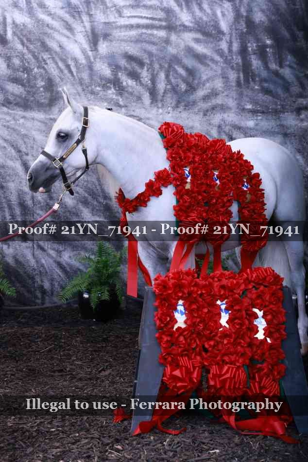 Proof 21YN_71941
