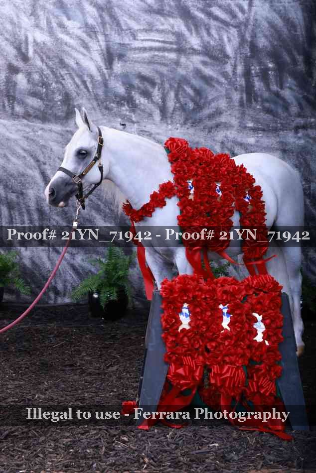 Proof 21YN_71942