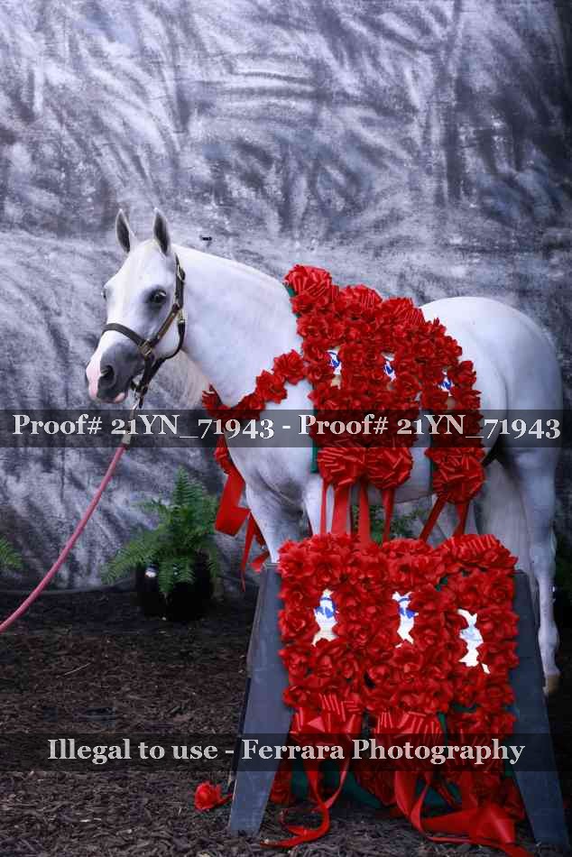 Proof 21YN_71943