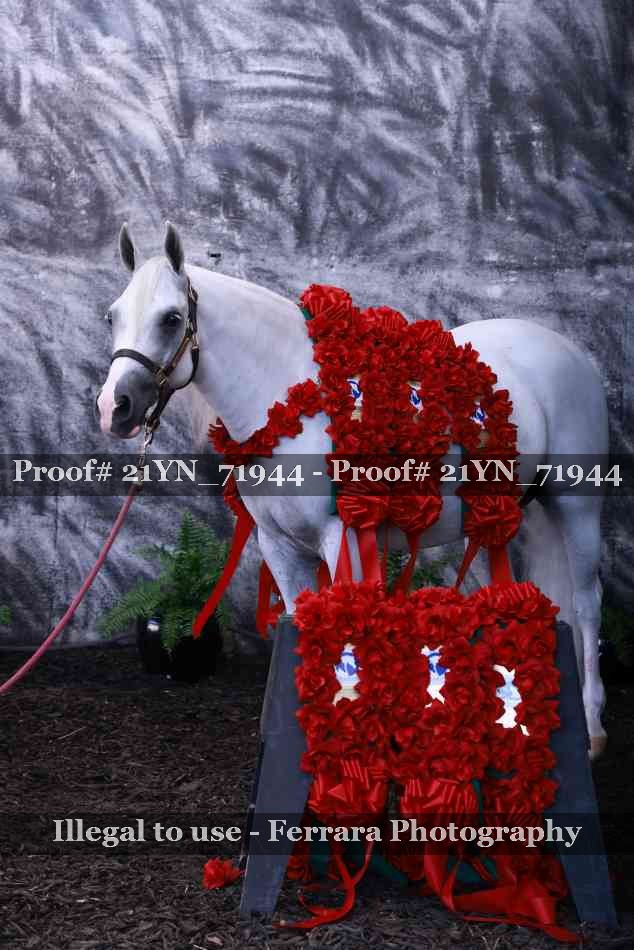 Proof 21YN_71944