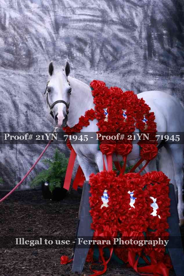 Proof 21YN_71945