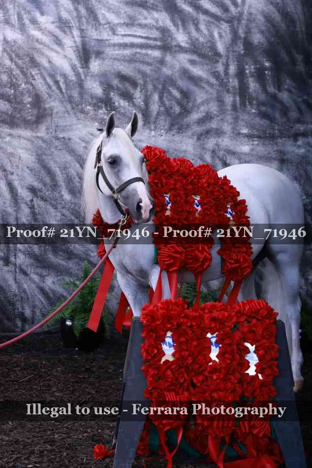 Proof 21YN_71946