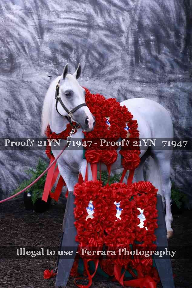 Proof 21YN_71947