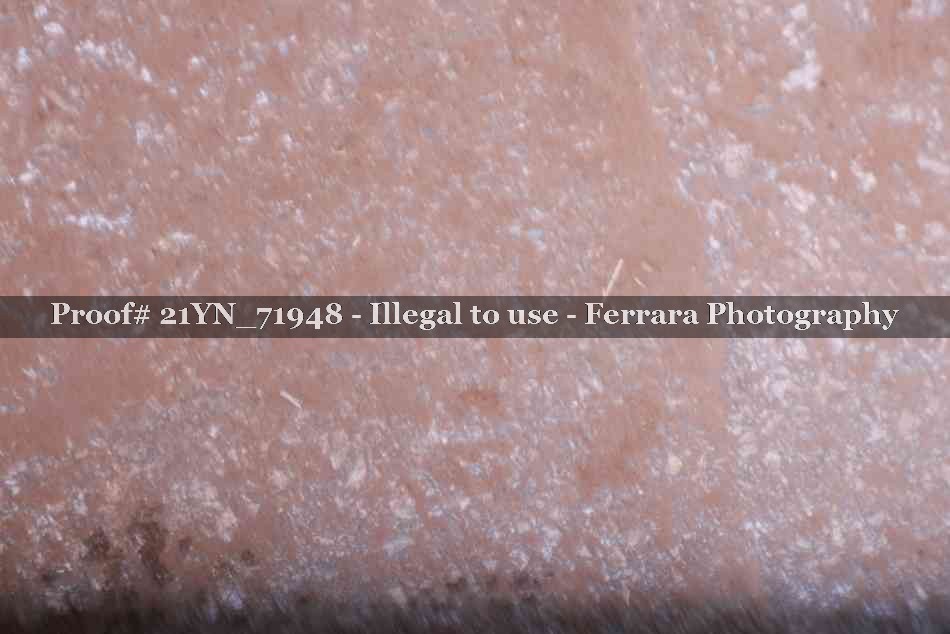 Proof 21YN_71948