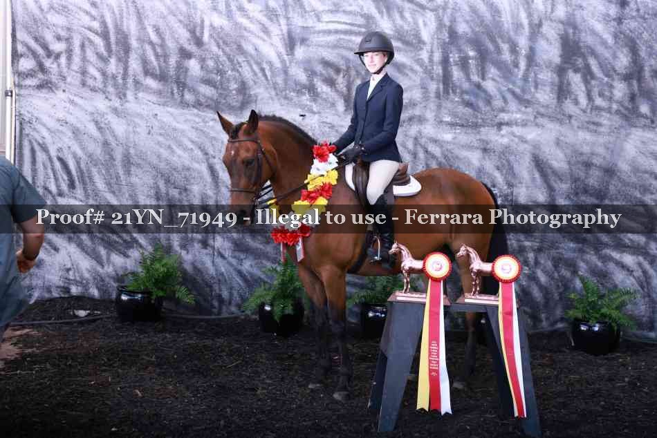 Proof 21YN_71949