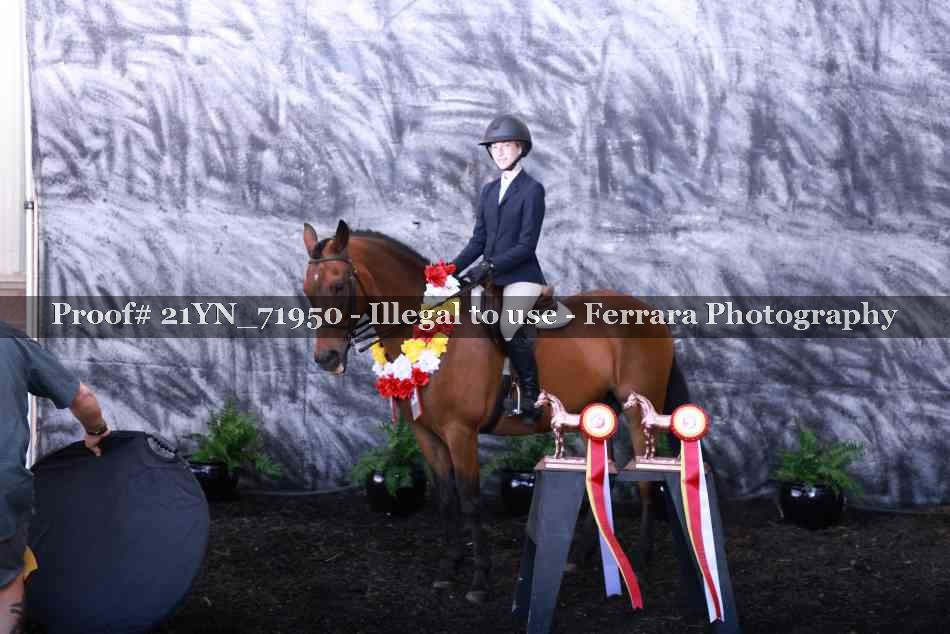 Proof 21YN_71950