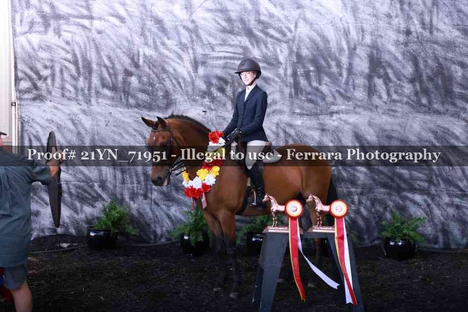 Proof 21YN_71951