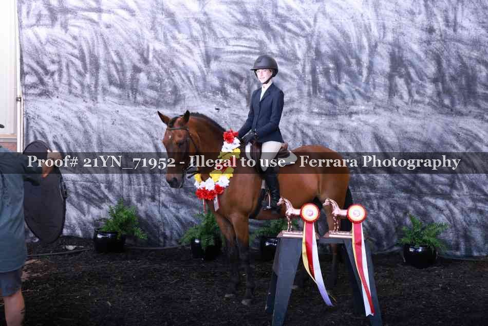 Proof 21YN_71952