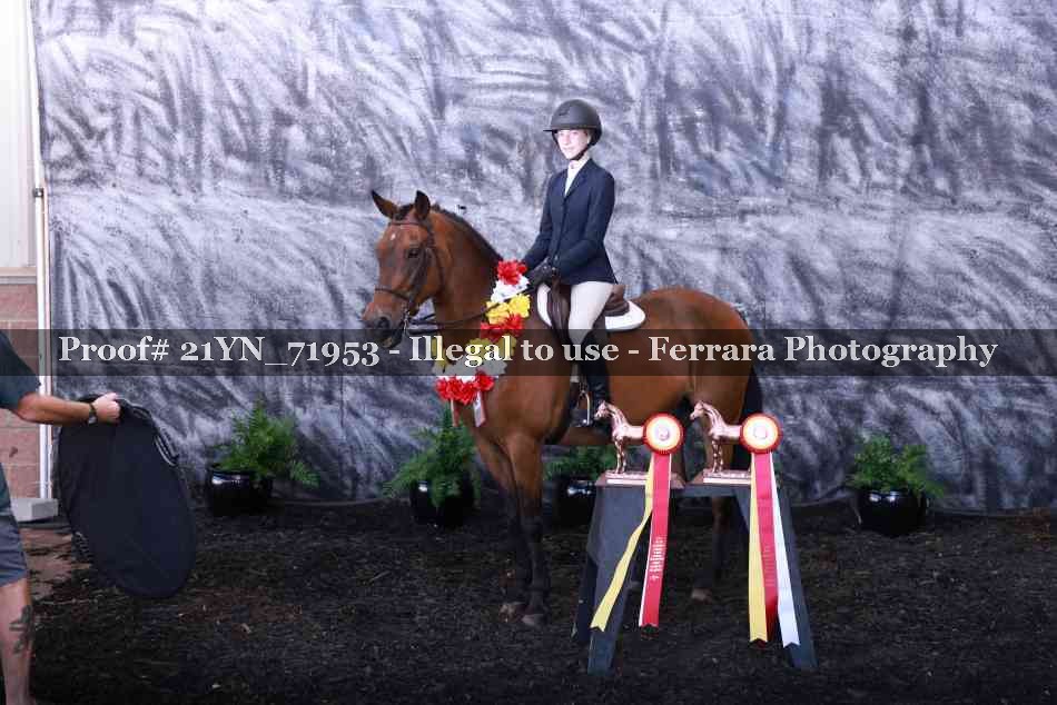 Proof 21YN_71953