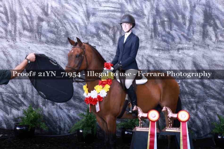 Proof 21YN_71954
