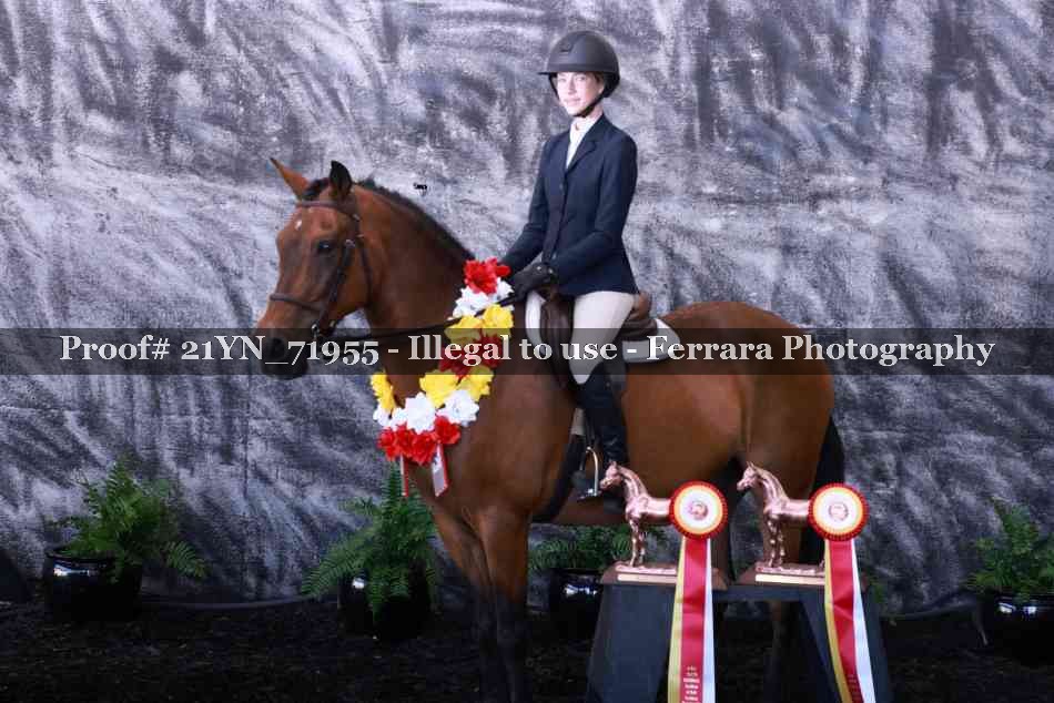 Proof 21YN_71955