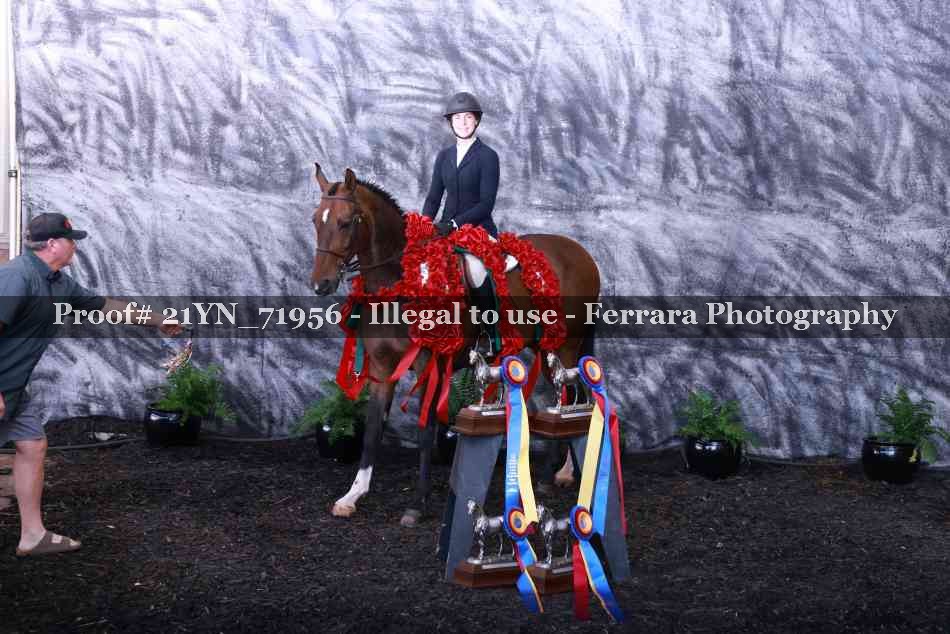 Proof 21YN_71956