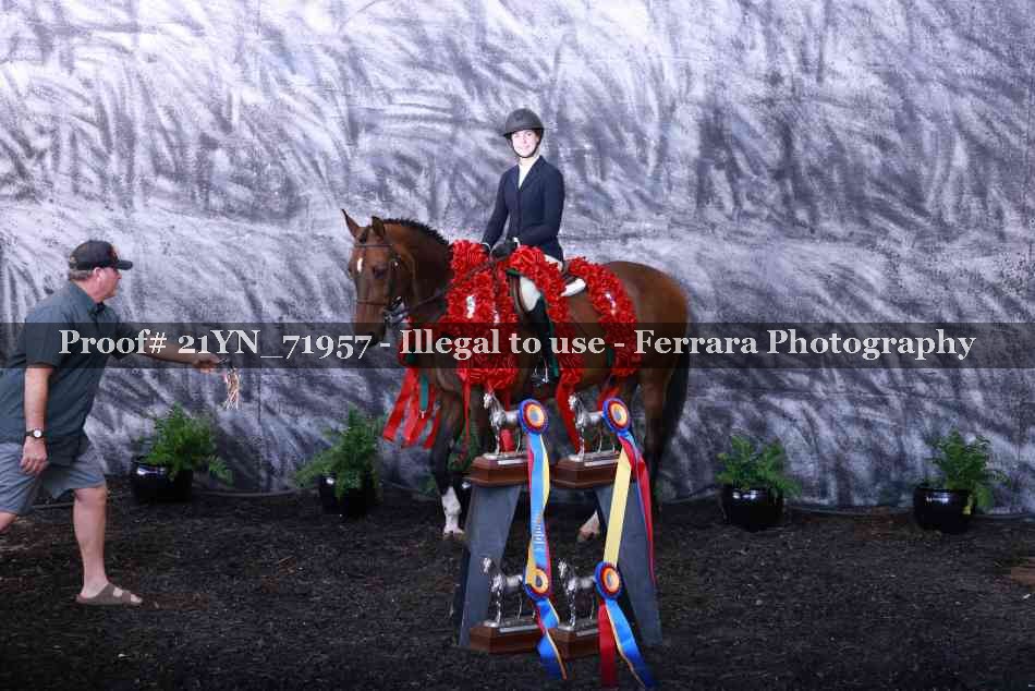 Proof 21YN_71957