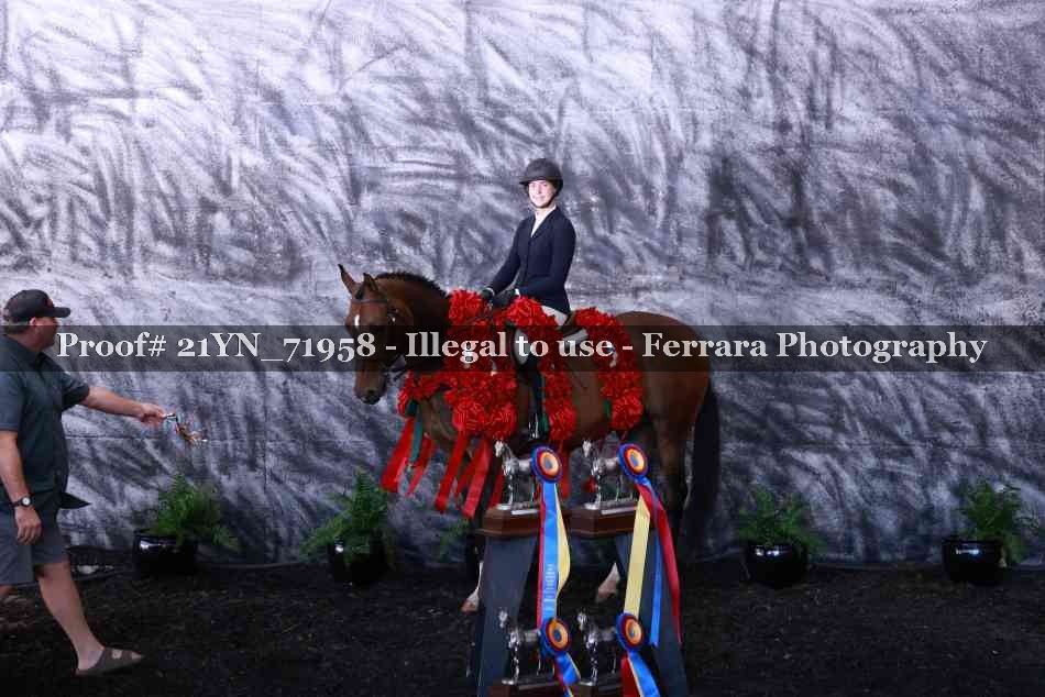 Proof 21YN_71958