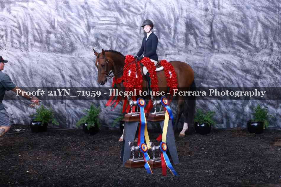 Proof 21YN_71959