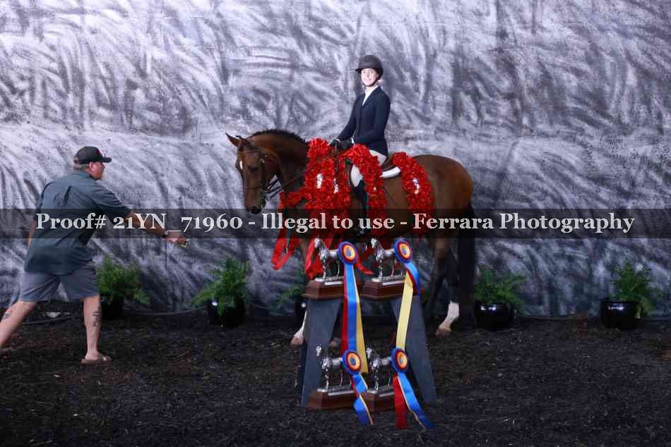 Proof 21YN_71960